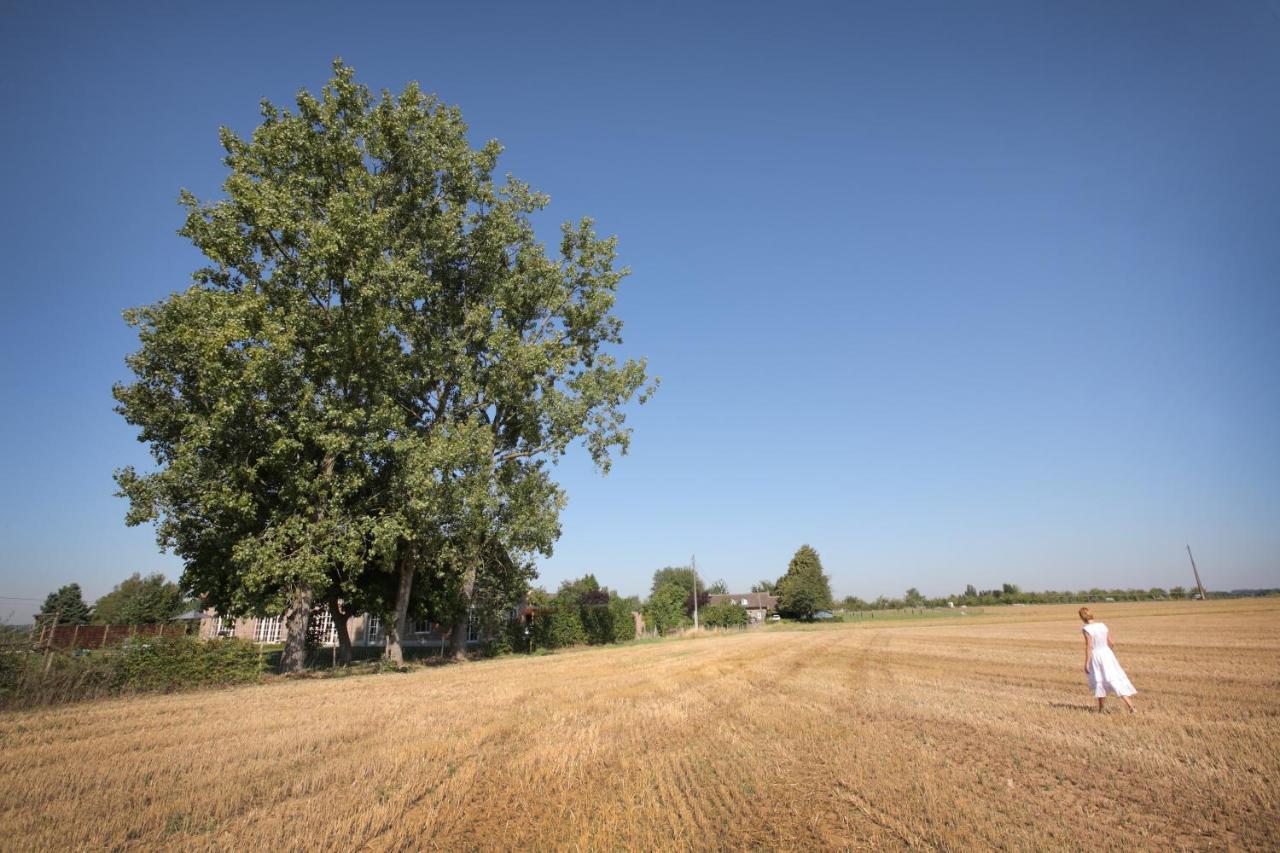 B&B Het Rooj Holsbeek Esterno foto